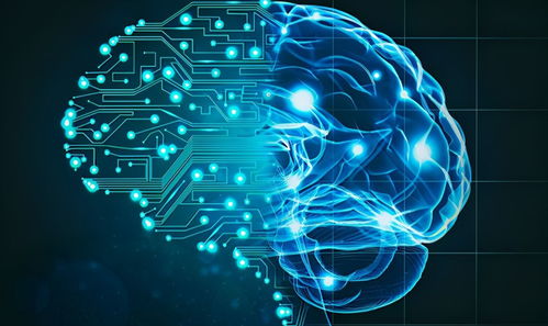 AI模擬生物進(jìn)化 計(jì)算機(jī)軟硬件技術(shù)開發(fā)揭開生命起源新篇章