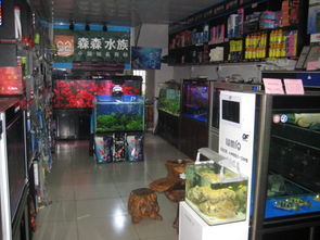 常熟寵友福利 低價(jià)寵物用品與特色小店探秘